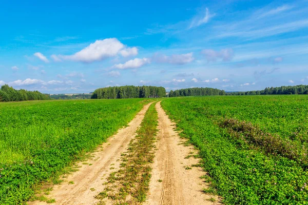 Dirt road in a field on a sunny summer day — Stock Photo, Image