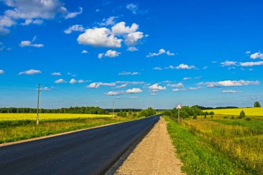 Arazide yaz manzarası asfalt yolu