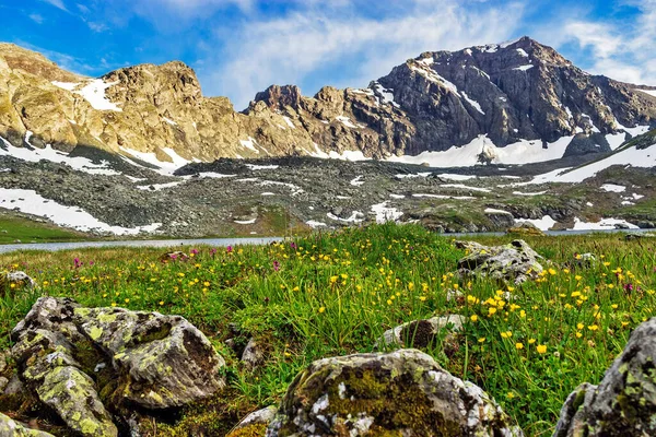 Penhascos íngremes e flores selvagens nas montanhas do Cáucaso — Fotografia de Stock