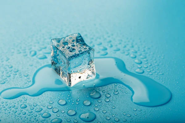 Ice cube with water drops on a blue background. The ice is melting.