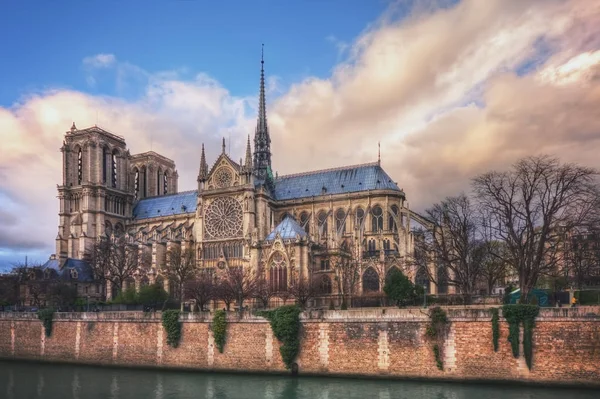 Notre-Dame on Ile de la Cite — Φωτογραφία Αρχείου