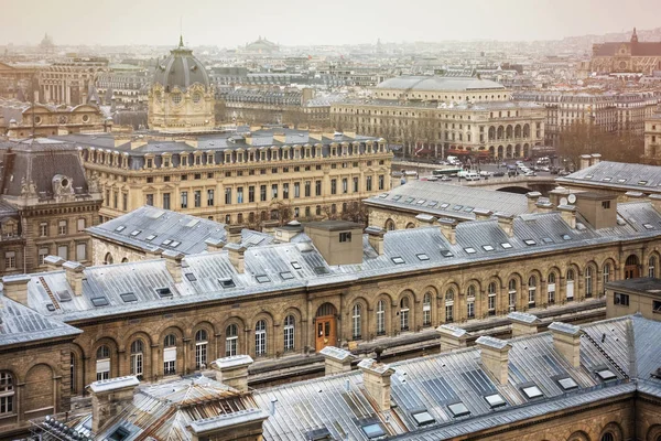 Spectaculaire beeld van Parijs daken van kathedraal Notre-Dame de Paris — Stockfoto