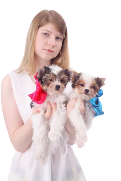 Menina e cachorros — Fotografia de Stock