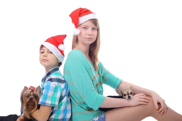 Kids and dogs — Stock Photo, Image