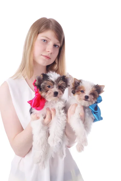Meisje en puppies — Stockfoto