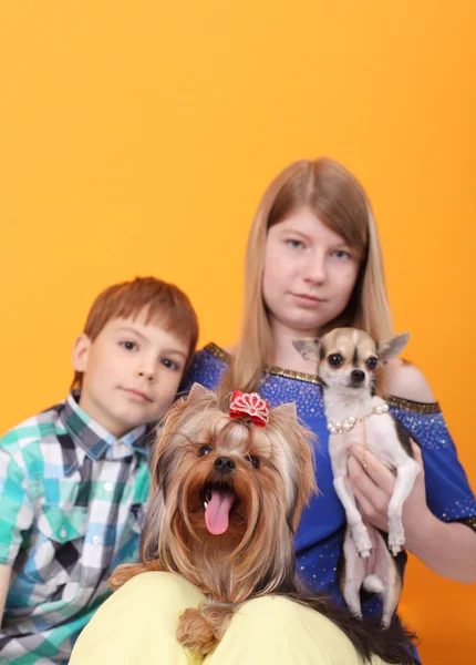 Kinderen en hond. — Stockfoto