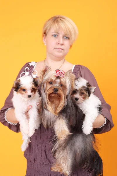 Dog breeder closeup — Stock Photo, Image