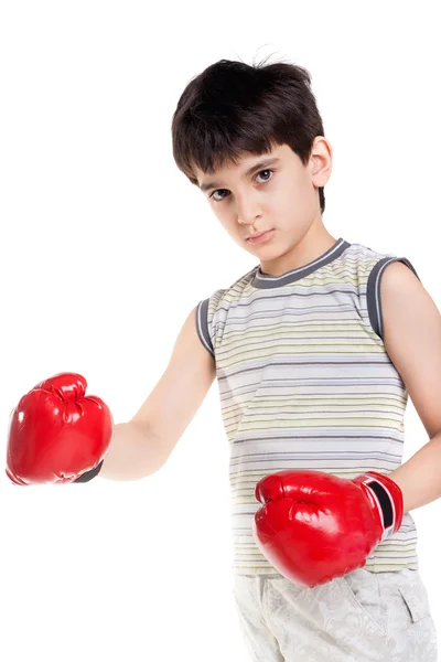 Niño pequeño boxeador — Foto de Stock