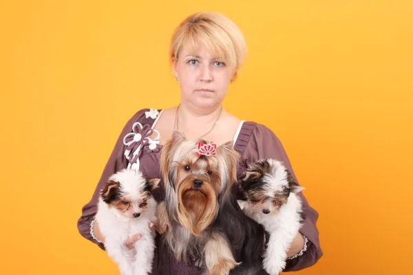 Dog breeder closeup — Stock Photo, Image