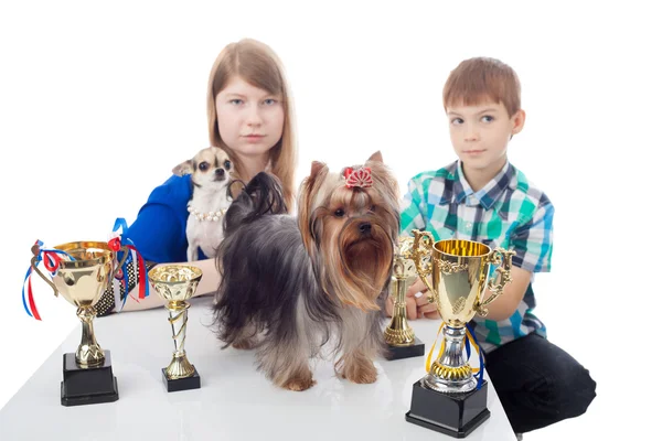 Barn och hundar — Stockfoto
