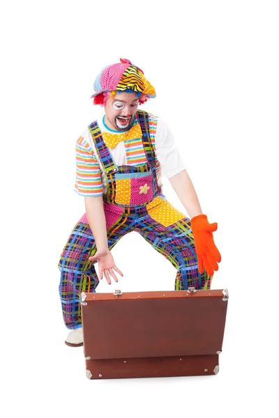 Schöner junger Clown — Stockfoto