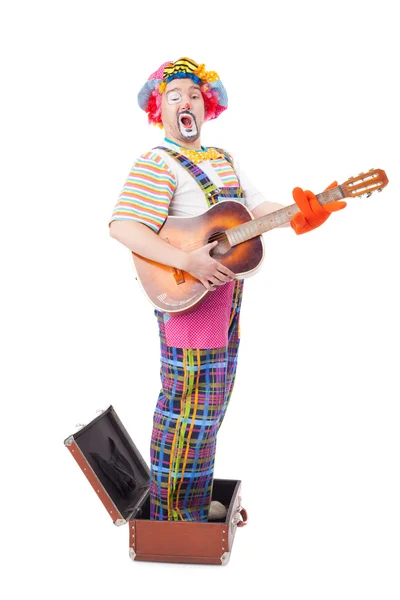 Schöner junger Clown — Stockfoto