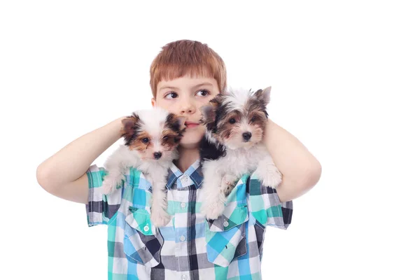 Niño y cachorros — Foto de Stock