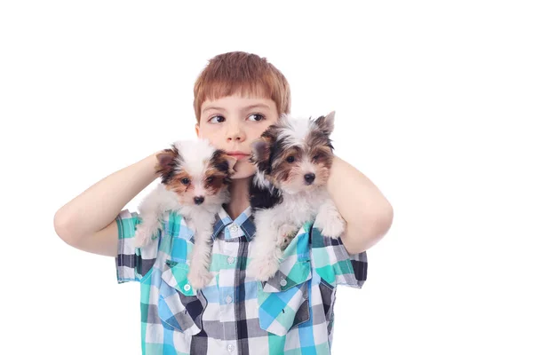 Jongen en puppies — Stockfoto