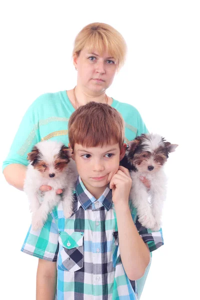 Family and puppies — Stock Photo, Image