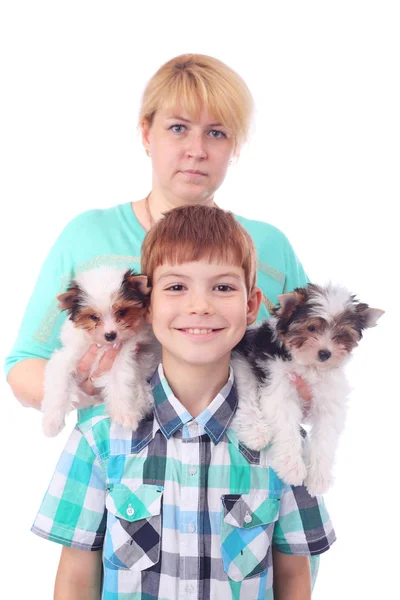 Famiglia e cuccioli — Foto Stock