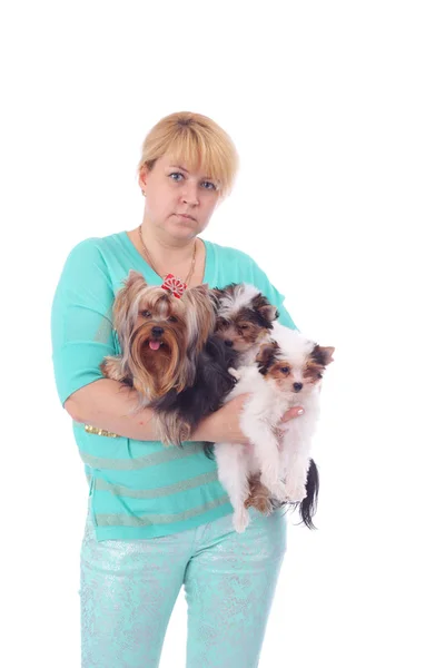 Dog breeder with the dogs — Stock Photo, Image