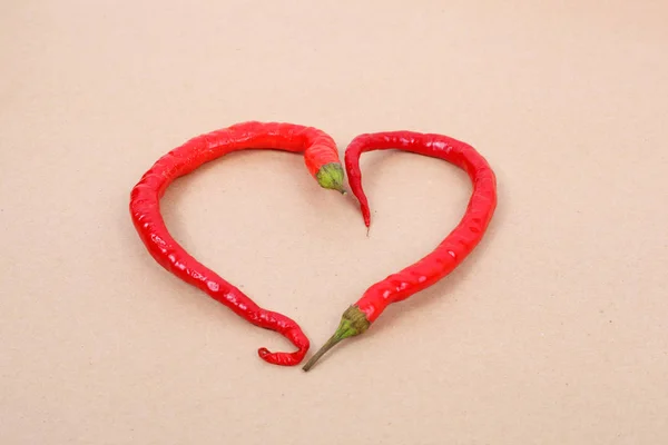 Chile pepper concept — Stock Photo, Image