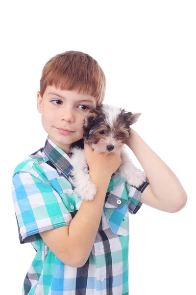 Boy and puppy — Stock Photo, Image