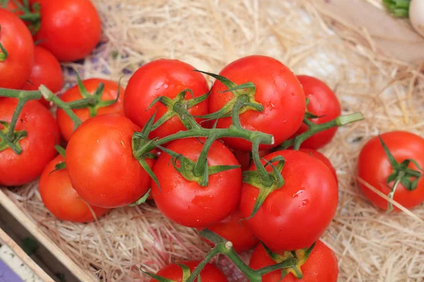 Tomates no mercado — Fotografia de Stock
