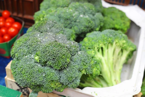 Brocoli sur le marché — Photo