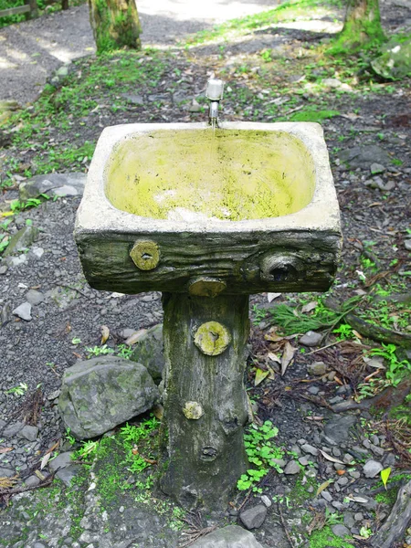 One Washbasin Forest Stock Photo