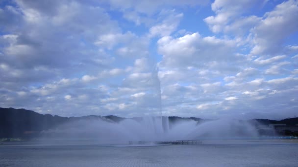 公園内にある巨大な噴水 — ストック動画