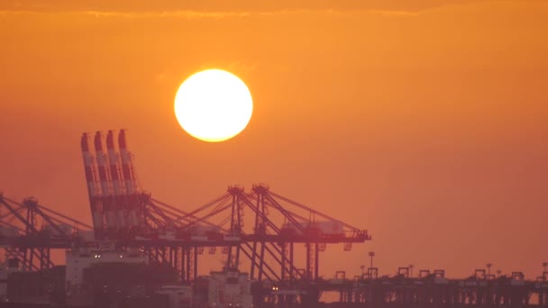 飞鸟和日落在货运码头 — 图库视频影像