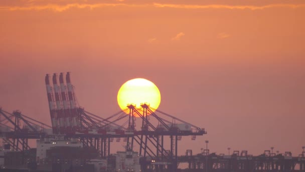 Zachód Słońca Żurawie Nabrzeżu Towarowym — Wideo stockowe