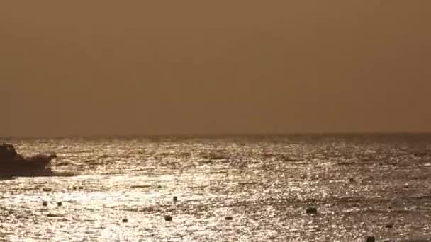 Solnedgång Och Båt Seglar Havet — Stockvideo