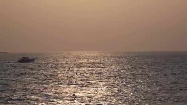 Solnedgång Och Båt Seglar Havet — Stockvideo