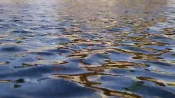 Вода Тече Відображає Небо Будівлі — стокове відео