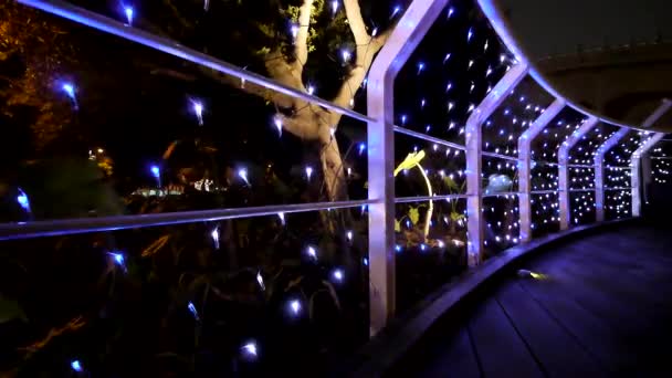 Décoration Led Sur Rampe Dans Nuit — Video