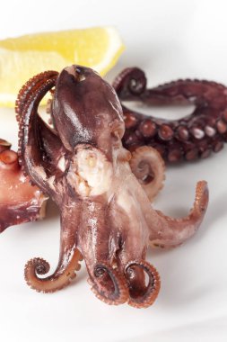 beyaz arkaplanda bir çatal üzerinde kalamar 