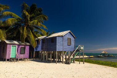 Caye caulker belize renkli evler