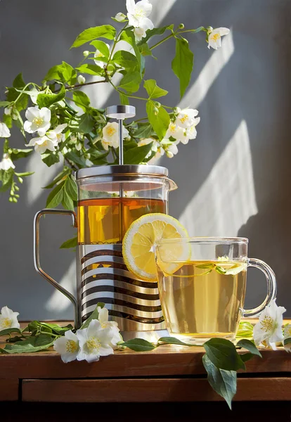 Чай натюрморт в окружении ветки цветущего жасмина . Лицензионные Стоковые Изображения