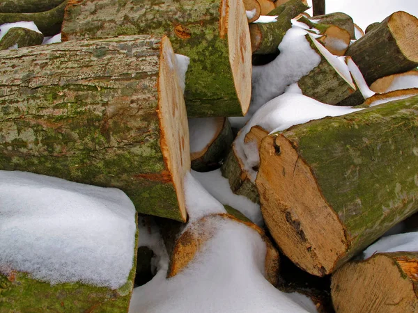 Logs stacked in bulk and covered with snow. — 스톡 사진