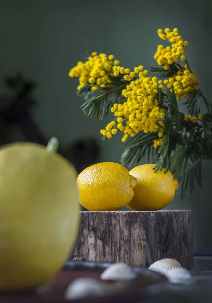 Natura morta con limoni e un bouquet di mimosa . Foto Stock Royalty Free