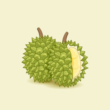 Durian meyve şekil