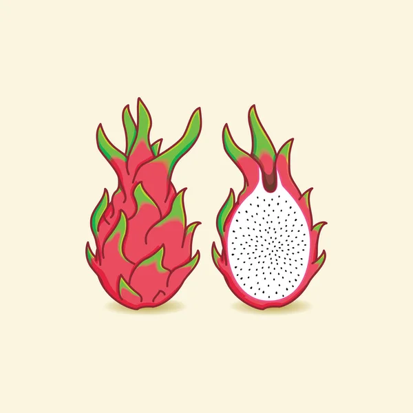 Dragon fruit illustratie — Stockvector