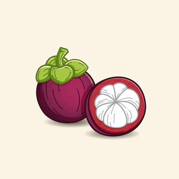Mangosteen Tropische Vruchten Illustratie — Stockvector