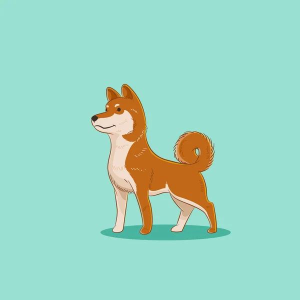 Shiba Inu. — Vector de stock