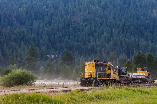 Treno Nero Giallo Con Foresta Una Montagna Come Sfondo — Foto Stock