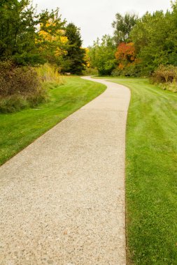 Ağaçlarla çevrili parkın içinden yerel iz