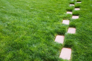 Bu yol seni nereye götürüyor??