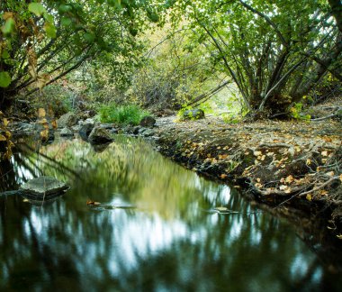 Watar güz süresi boyunca yukarıdaki ağaçları yansıtan