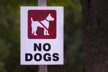 köpek parkında izin yok