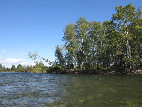 Irkoet rivier, Sajan, Siberië, Rusland — Stockfoto