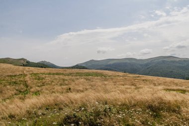 Wideki 'den Bukowe Berdo ve Tarnica' ya giden yol Polonya 'daki Bieszczady Dağları' nda Woosate 'a çıkıyor.