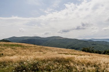 Wideki 'den Bukowe Berdo ve Tarnica' ya giden yol Polonya 'daki Bieszczady Dağları' nda Woosate 'a çıkıyor.